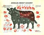 Click image for larger version

Name:	3885e98510c9835d21c112da08114669--angus-beef-visual-design.jpg
Views:	190
Size:	175.7 KB
ID:	15368