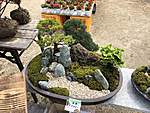 Click image for larger version

Name:	bonsai.jpg
Views:	150
Size:	82.4 KB
ID:	15630