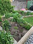 Click image for larger version

Name:	Garden 2.jpg
Views:	317
Size:	154.1 KB
ID:	15636