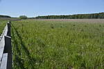 Click image for larger version

Name:	Meadows looking back.jpg
Views:	314
Size:	51.4 KB
ID:	15958