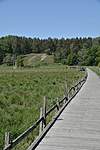 Click image for larger version

Name:	Wooden walkway.jpg
Views:	315
Size:	57.8 KB
ID:	15960