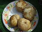 Click image for larger version

Name:	Irish-floury-potatoes-good-Irish-spuds.jpg
Views:	130
Size:	44.3 KB
ID:	2728