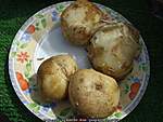 Click image for larger version

Name:	Irish-floury-potatoes-good-Irish-spuds.jpg
Views:	131
Size:	44.3 KB
ID:	2728