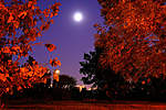 Click image for larger version

Name:	autumn evening.jpg
Views:	35
Size:	68.6 KB
ID:	4679