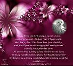 Click image for larger version

Name:	mydog.jpg
Views:	60
Size:	46.4 KB
ID:	6325