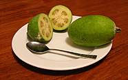 Feijoa