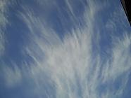 Mares tails