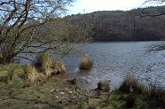 oakley lake