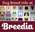 Breedia - The Dog Breed Info Website