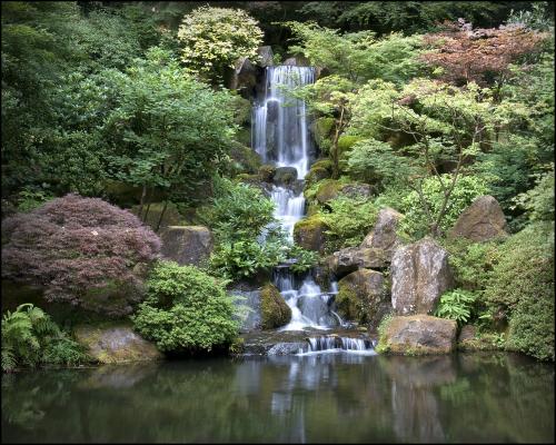 Japanese Gardens Waterfall Panoramic