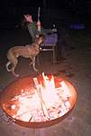 Click image for larger version

Name:	Fire pit.jpg
Views:	75
Size:	64.5 KB
ID:	10533
