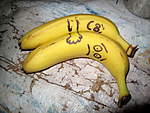 Click image for larger version

Name:	09-07-04 Bananas 006.jpg
Views:	130
Size:	48.9 KB
ID:	10984