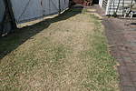 Click image for larger version

Name:	191217 004 Lawn and Drought.jpg
Views:	218
Size:	58.9 KB
ID:	11254