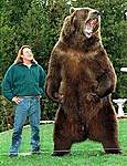 Click image for larger version

Name:	Bart_the_Bear_and_Doug_Seus.jpg
Views:	68
Size:	27.6 KB
ID:	14078