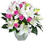 Click image for larger version

Name:	flowers.jpg
Views:	66
Size:	9.2 KB
ID:	16124