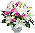 Click image for larger version

Name:	flowers.jpg
Views:	68
Size:	9.2 KB
ID:	16124