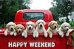 Click image for larger version

Name:	Happy-Weekend-Images-10.jpg
Views:	45
Size:	88.3 KB
ID:	4439