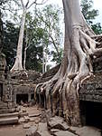 Click image for larger version

Name:	130416 226 Cambodia Angkor Wat.jpg
Views:	86
Size:	97.6 KB
ID:	8587