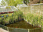 Click image for larger version

Name:	pond6m002.jpg
Views:	55
Size:	99.4 KB
ID:	8926