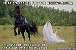 Click image for larger version

Name:	Thats-A-Keeper-For-The-wedding-Album-Funny-Horse-Meme-Image.jpg
Views:	55
Size:	39.4 KB
ID:	8376