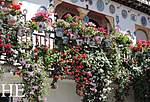 Click image for larger version

Name:	800x545-as-andalucia-spain-grenada-geraniums.jpg
Views:	100
Size:	79.5 KB
ID:	9443
