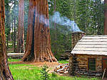 Click image for larger version

Name:	Redwood Forest Cabin California.jpg
Views:	59
Size:	62.1 KB
ID:	14012