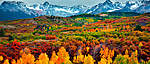 Click image for larger version

Name:	Fall-in-Aspen.jpg
Views:	45
Size:	78.1 KB
ID:	11641