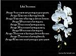 Click image for larger version

Name:	lifes sucesses.jpg
Views:	50
Size:	47.8 KB
ID:	7624