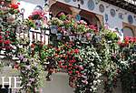 Click image for larger version

Name:	800x545-as-andalucia-spain-grenada-geraniums.jpg
Views:	96
Size:	79.5 KB
ID:	9443