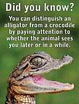 Click image for larger version

Name:	croc.jpg
Views:	94
Size:	26.8 KB
ID:	14897