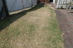 Click image for larger version

Name:	191217 004 Lawn and Drought.jpg
Views:	215
Size:	58.9 KB
ID:	11254