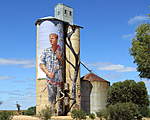 Click image for larger version

Name:	170217 038 Patchewollock Silo.jpg
Views:	121
Size:	52.4 KB
ID:	10590