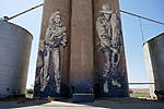 Click image for larger version

Name:	190301 018 Silo Art Trail Rosebery.jpg
Views:	116
Size:	36.8 KB
ID:	10593