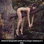 Click image for larger version

Name:	Cougar sleeping in Tree.jpg
Views:	200
Size:	46.5 KB
ID:	14069