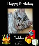 Click image for larger version

Name:	happy birthday tabby.jpg
Views:	38
Size:	28.8 KB
ID:	8554