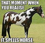 Click image for larger version

Name:	Funny-Horse-Memes-03.jpg
Views:	56
Size:	52.5 KB
ID:	7956