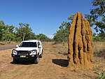 Click image for larger version

Name:	Termites.jpg
Views:	79
Size:	52.7 KB
ID:	893