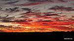 Click image for larger version

Name:	210607 022 Temora Sunset.jpg
Views:	170
Size:	28.1 KB
ID:	15855