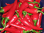 Click image for larger version

Name:	Chillies 001.jpg
Views:	195
Size:	47.6 KB
ID:	7689