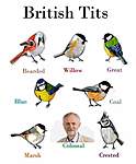 Click image for larger version

Name:	BritishTits.jpg
Views:	61
Size:	40.4 KB
ID:	4654