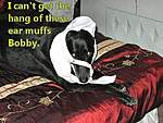 Click image for larger version

Name:	Monty in bra 2 007  500.jpg
Views:	51
Size:	63.6 KB
ID:	9366