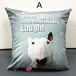 Click image for larger version

Name:	3d-bull-terrier-pillows-funny-dog-design-sofa-cushions-cheap22402.jpg
Views:	65
Size:	50.1 KB
ID:	7509