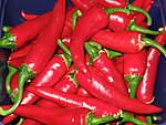 Click image for larger version

Name:	Chillies 001.jpg
Views:	186
Size:	47.6 KB
ID:	7689