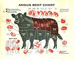 Click image for larger version

Name:	3885e98510c9835d21c112da08114669--angus-beef-visual-design.jpg
Views:	187
Size:	175.7 KB
ID:	15368