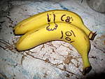 Click image for larger version

Name:	09-07-04 Bananas 006.jpg
Views:	191
Size:	48.9 KB
ID:	9340