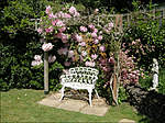 Click image for larger version

Name:	garden.jpg
Views:	62
Size:	96.1 KB
ID:	9767