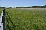 Click image for larger version

Name:	Meadows looking back.jpg
Views:	300
Size:	51.4 KB
ID:	15958