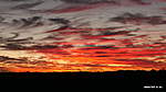 Click image for larger version

Name:	210607 022 Temora Sunset.jpg
Views:	171
Size:	28.1 KB
ID:	15855