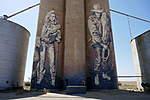 Click image for larger version

Name:	190301 018 Silo Art Trail Rosebery.jpg
Views:	119
Size:	36.8 KB
ID:	10593