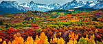 Click image for larger version

Name:	Fall-in-Aspen.jpg
Views:	49
Size:	78.1 KB
ID:	11641